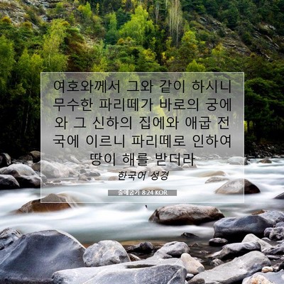 Picture 07 - 출애굽기 8:24 KOR - 여호와께서 그와 같이 하시니 무수한 - Bible Verse Picture