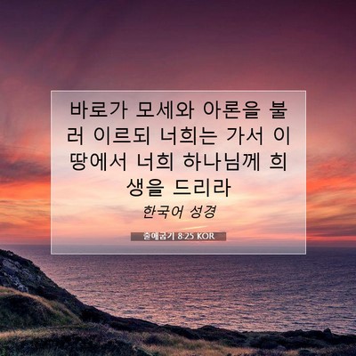 Picture 07 - 출애굽기 8:25 KOR - 바로가 모세와 아론을 불러 이르되 - Bible Verse Picture