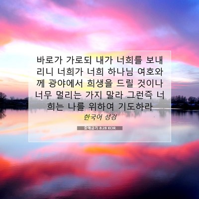Picture 07 - 출애굽기 8:28 KOR - 바로가 가로되 내가 너희를 보내리니 - Bible Verse Picture