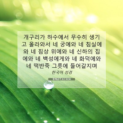 Picture 07 - 출애굽기 8:3 KOR - 개구리가 하수에서 무수히 생기고 - Bible Verse Picture