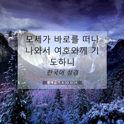 Picture 07 - 출애굽기 8:30 KOR - 모세가 바로를 떠나 나와서 여호와께 - Bible Verse Picture