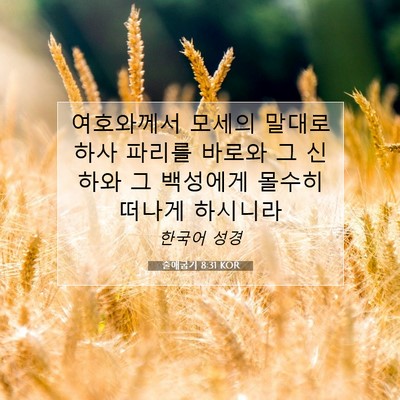 Picture 07 - 출애굽기 8:31 KOR - 여호와께서 모세의 말대로 하사 - Bible Verse Picture