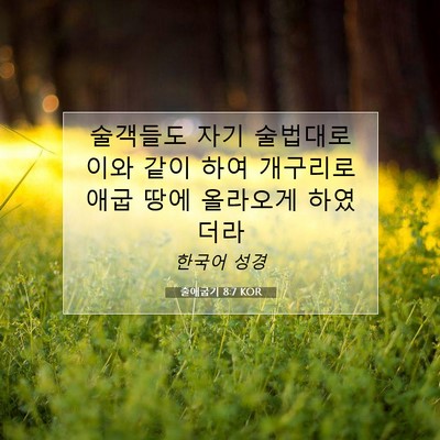 Picture 07 - 출애굽기 8:7 KOR - 술객들도 자기 술법대로 이와 같이 - Bible Verse Picture