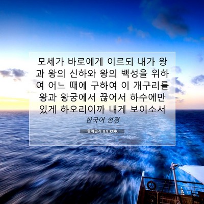 Picture 07 - 출애굽기 8:9 KOR - 모세가 바로에게 이르되 내가 왕과 - Bible Verse Picture