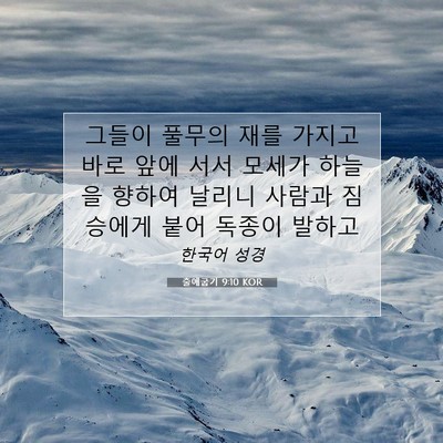 Picture 07 - 출애굽기 9:10 KOR - 그들이 풀무의 재를 가지고 바로 - Bible Verse Picture
