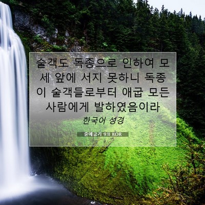 Picture 07 - 출애굽기 9:11 KOR - 술객도 독종으로 인하여 모세 앞에 - Bible Verse Picture