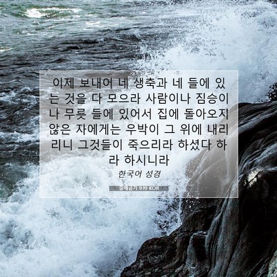 Picture 07 - 출애굽기 9:19 KOR - 이제 보내어 네 생축과 네 들에 있는 - Bible Verse Picture
