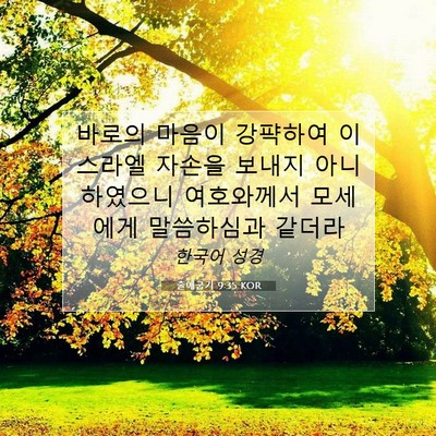 Picture 07 - 출애굽기 9:35 KOR - 바로의 마음이 강퍅하여 이스라엘 - Bible Verse Picture