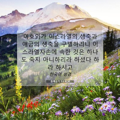 Picture 07 - 출애굽기 9:4 KOR - 여호와가 이스라엘의 생축과 애굽의 - Bible Verse Picture