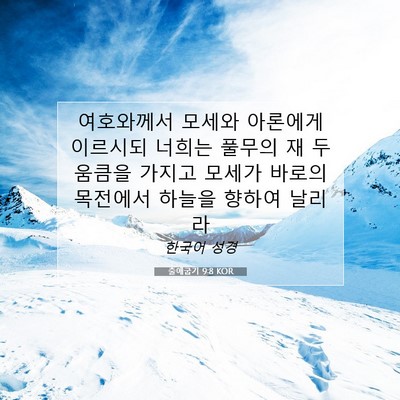 Picture 07 - 출애굽기 9:8 KOR - 여호와께서 모세와 아론에게 - Bible Verse Picture