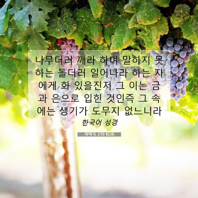 Picture 07 - 하박국 2:19 KOR - 나무더러 깨라 하며 말하지 못하는 - Bible Verse Picture