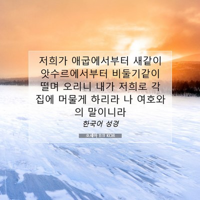 Picture 07 - 호세아 11:11 KOR - 저희가 애굽에서부터 새같이 - Bible Verse Picture