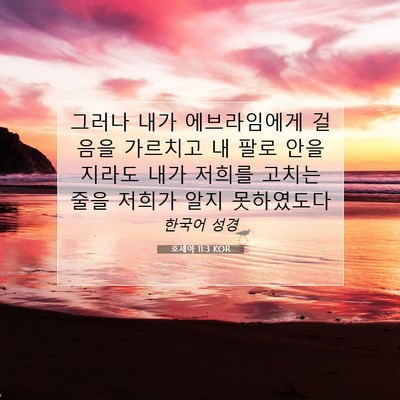 Picture 07 - 호세아 11:3 KOR - 그러나 내가 에브라임에게 걸음을 - Bible Verse Picture