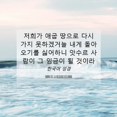 Picture 07 - 호세아 11:5 KOR - 저희가 애굽 땅으로 다시 가지 - Bible Verse Picture
