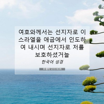 Picture 07 - 호세아 12:13 KOR - 여호와께서는 선지자로 이스라엘을 - Bible Verse Picture