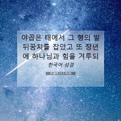 Picture 07 - 호세아 12:3 KOR - 야곱은 태에서 그 형의 발뒤꿈치를 - Bible Verse Picture