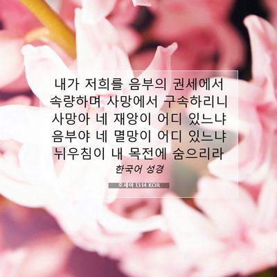 Picture 07 - 호세아 13:14 KOR - 내가 저희를 음부의 권세에서 - Bible Verse Picture