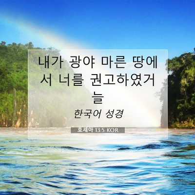 Picture 07 - 호세아 13:5 KOR - 내가 광야 마른 땅에서 너를 - Bible Verse Picture