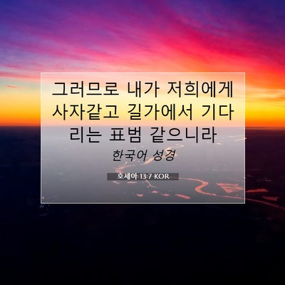 Picture 07 - 호세아 13:7 KOR - 그러므로 내가 저희에게 사자같고 - Bible Verse Picture