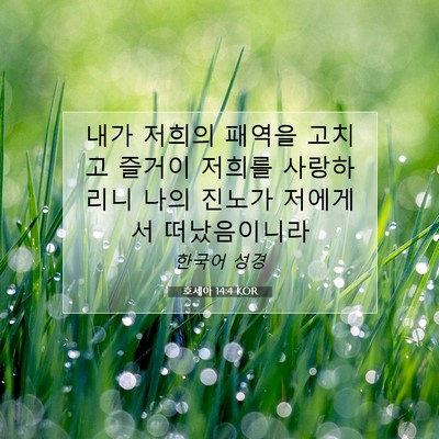 Picture 07 - 호세아 14:4 KOR - 내가 저희의 패역을 고치고 즐거이 - Bible Verse Picture