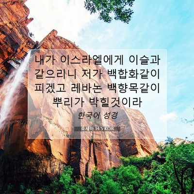 Picture 07 - 호세아 14:5 KOR - 내가 이스라엘에게 이슬과 같으리니 - Bible Verse Picture
