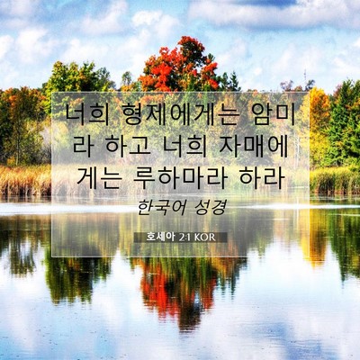 Picture 07 - 호세아 2:1 KOR - 너희 형제에게는 암미라 하고 너희 - Bible Verse Picture
