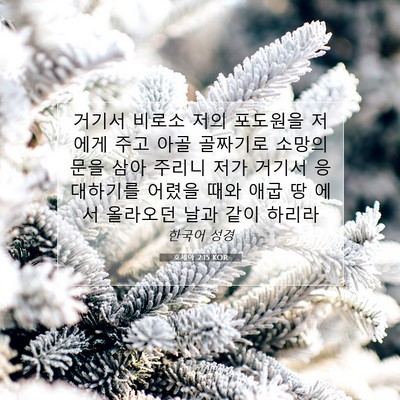 Picture 07 - 호세아 2:15 KOR - 거기서 비로소 저의 포도원을 저에게 - Bible Verse Picture