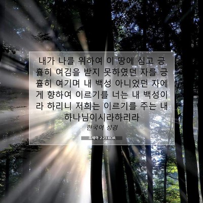 Picture 07 - 호세아 2:23 KOR - 내가 나를 위하여 이 땅에 심고 - Bible Verse Picture