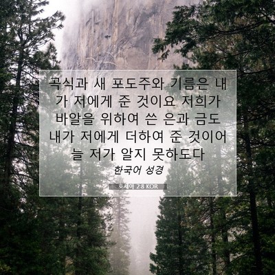 Picture 07 - 호세아 2:8 KOR - 곡식과 새 포도주와 기름은 내가 - Bible Verse Picture