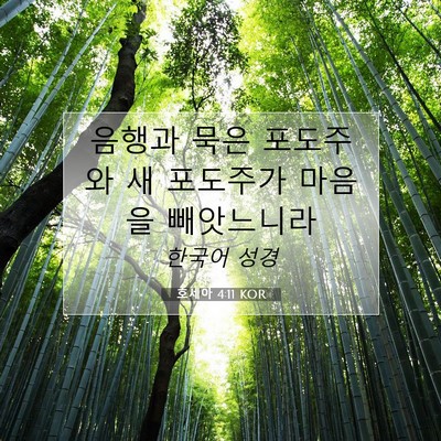 Picture 07 - 호세아 4:11 KOR - 음행과 묵은 포도주와 새 포도주가 - Bible Verse Picture