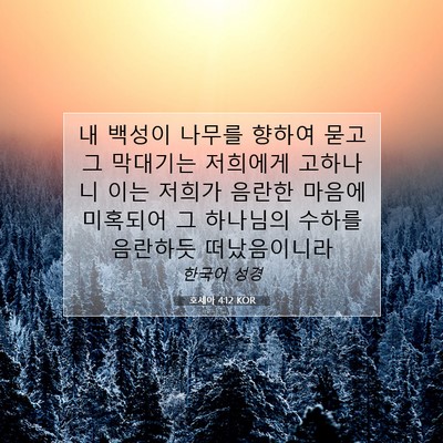 Picture 07 - 호세아 4:12 KOR - 내 백성이 나무를 향하여 묻고 그 - Bible Verse Picture