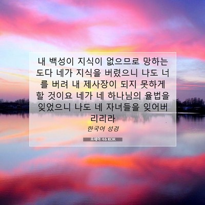 Picture 07 - 호세아 4:6 KOR - 내 백성이 지식이 없으므로 - Bible Verse Picture
