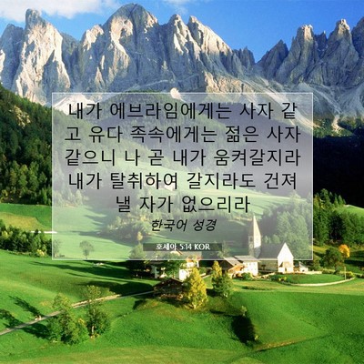 Picture 07 - 호세아 5:14 KOR - 내가 에브라임에게는 사자 같고 유다 - Bible Verse Picture