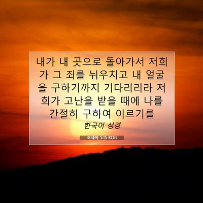 Picture 07 - 호세아 5:15 KOR - 내가 내 곳으로 돌아가서 저희가 그 - Bible Verse Picture
