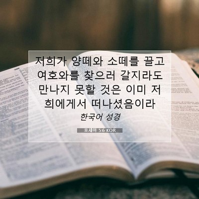 Picture 07 - 호세아 5:6 KOR - 저희가 양떼와 소떼를 끌고 여호와를 - Bible Verse Picture