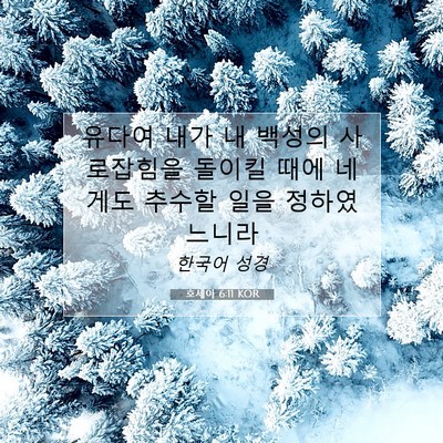 Picture 07 - 호세아 6:11 KOR - 유다여 내가 내 백성의 사로잡힘을 - Bible Verse Picture