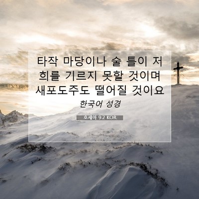 Picture 07 - 호세아 9:2 KOR - 타작 마당이나 술 틀이 저희를 - Bible Verse Picture