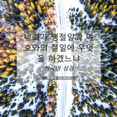 Picture 07 - 호세아 9:5 KOR - 너희가 명절일과 여호와의 절일에 - Bible Verse Picture