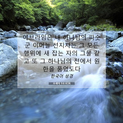 Picture 07 - 호세아 9:8 KOR - 에브라임은 내 하나님의 파숫군 - Bible Verse Picture