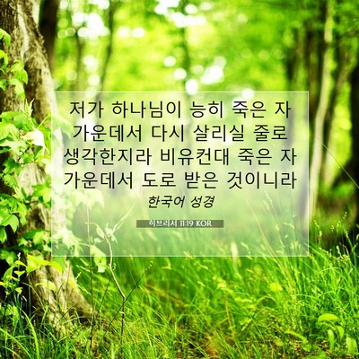 Picture 07 - 히브리서 11:19 KOR - 저가 하나님이 능히 죽은 자 - Bible Verse Picture