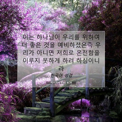 Picture 07 - 히브리서 11:40 KOR - 이는 하나님이 우리를 위하여 더 - Bible Verse Picture
