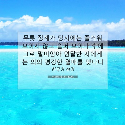 Picture 07 - 히브리서 12:11 KOR - 무릇 징계가 당시에는 즐거워 보이지 - Bible Verse Picture