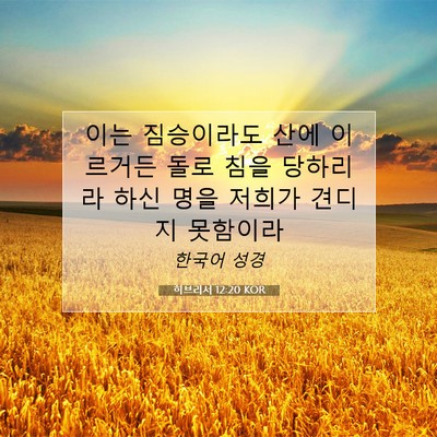 Picture 07 - 히브리서 12:20 KOR - 이는 짐승이라도 산에 이르거든 돌로 - Bible Verse Picture