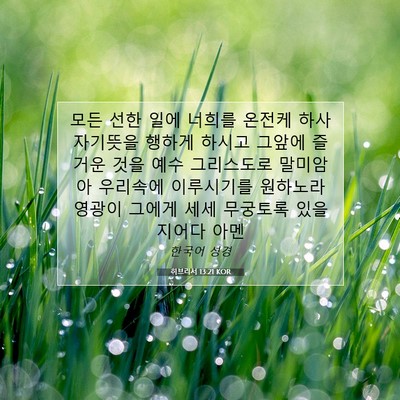 Picture 07 - 히브리서 13:21 KOR - 모든 선한 일에 너희를 온전케 하사 - Bible Verse Picture