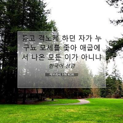Picture 07 - 히브리서 3:16 KOR - 듣고 격노케 하던 자가 누구뇨 - Bible Verse Picture