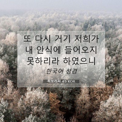 Picture 07 - 히브리서 4:5 KOR - 또 다시 거기 저희가 내 안식에 - Bible Verse Picture