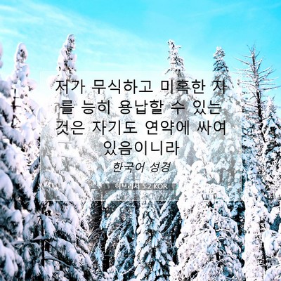 Picture 07 - 히브리서 5:2 KOR - 저가 무식하고 미혹한 자를 능히 - Bible Verse Picture