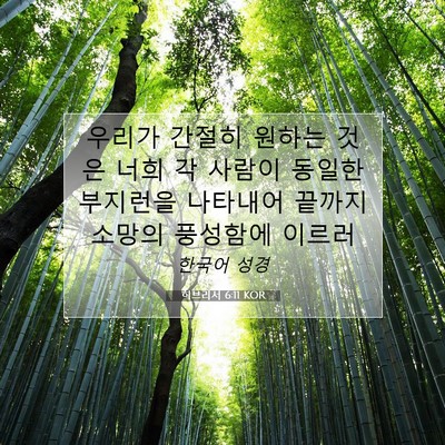 Picture 07 - 히브리서 6:11 KOR - 우리가 간절히 원하는 것은 너희 각 - Bible Verse Picture