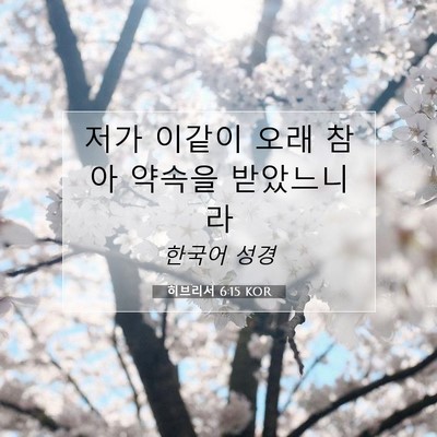 Picture 07 - 히브리서 6:15 KOR - 저가 이같이 오래 참아 약속을 - Bible Verse Picture