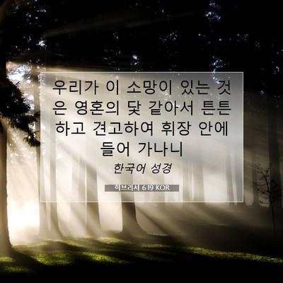 Picture 07 - 히브리서 6:19 KOR - 우리가 이 소망이 있는 것은 영혼의 - Bible Verse Picture